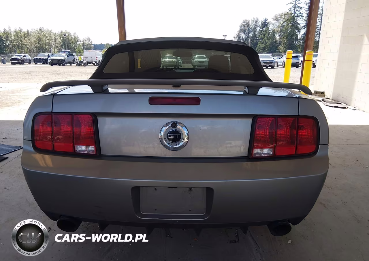 2009 Ford Mustang Gt VIN:1ZVHT85H895121587 - 17