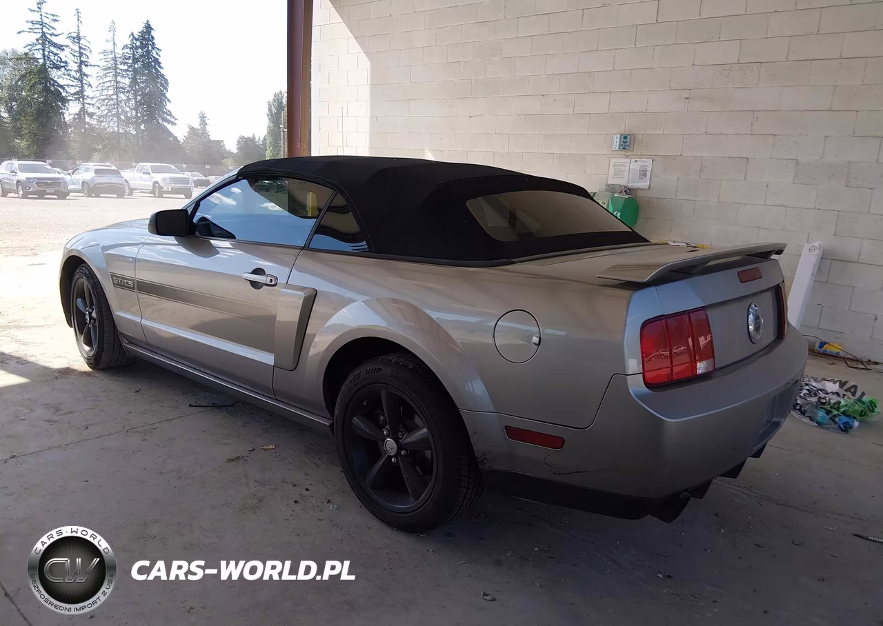 2009 Ford Mustang Gt VIN:1ZVHT85H895121587 - 3
