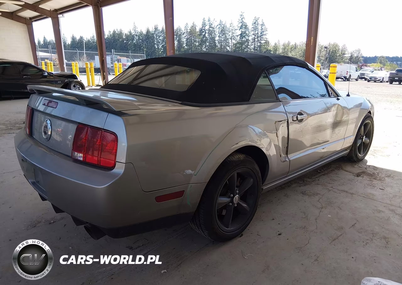 2009 Ford Mustang Gt VIN:1ZVHT85H895121587 - 4