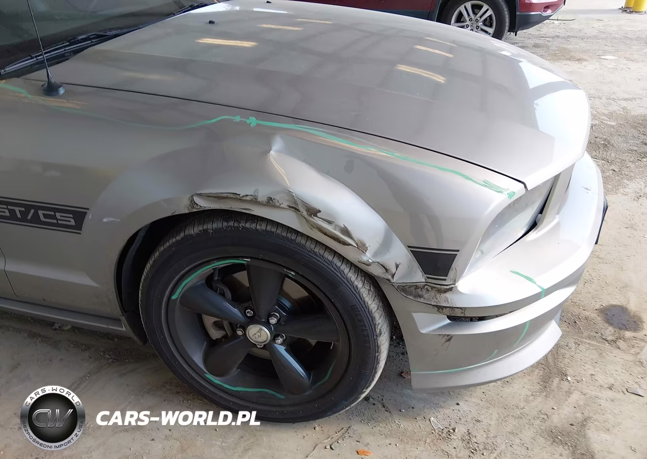 2009 Ford Mustang Gt VIN:1ZVHT85H895121587 - 6