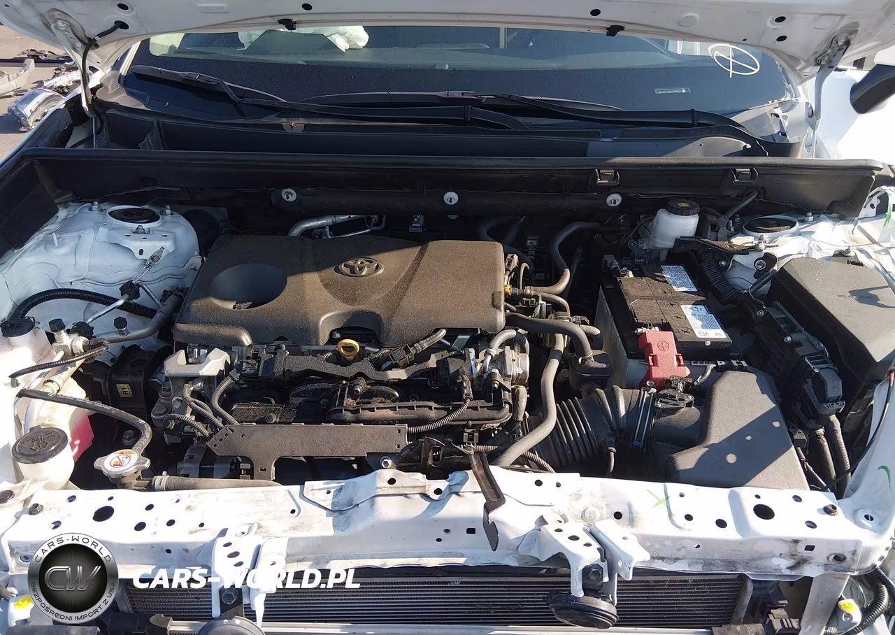 2024 Toyota Rav4 Xle VIN:2T3W1RFV2RC280674 - 10