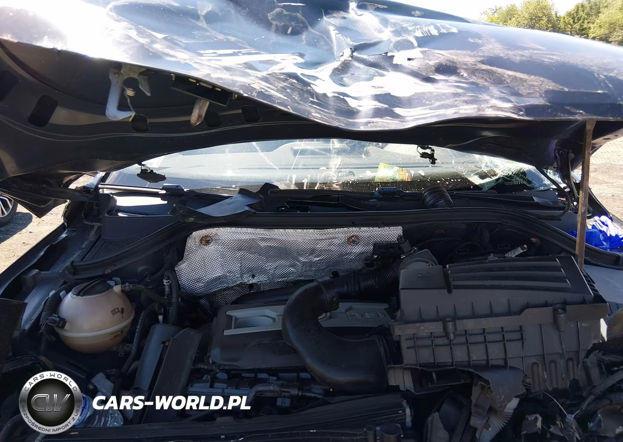 2016 Volkswagen Tiguan S VIN:WVGBV7AX9GW529920 - 10