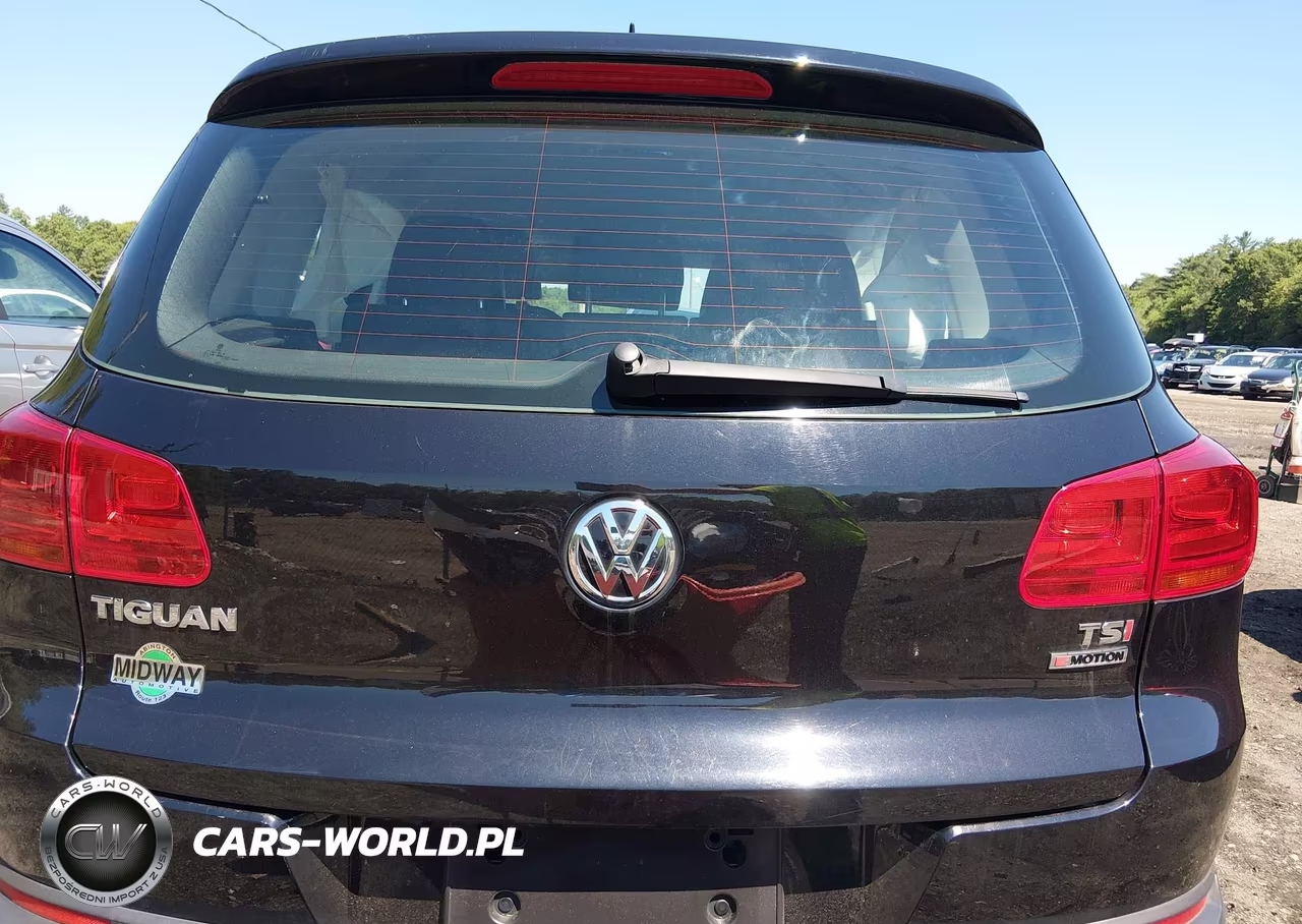 2016 Volkswagen Tiguan S VIN:WVGBV7AX9GW529920 - 16