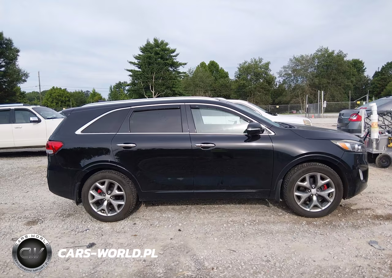 2017 Kia Sorento 3.3L Sx VIN:5XYPKDA58HG239618 - 13