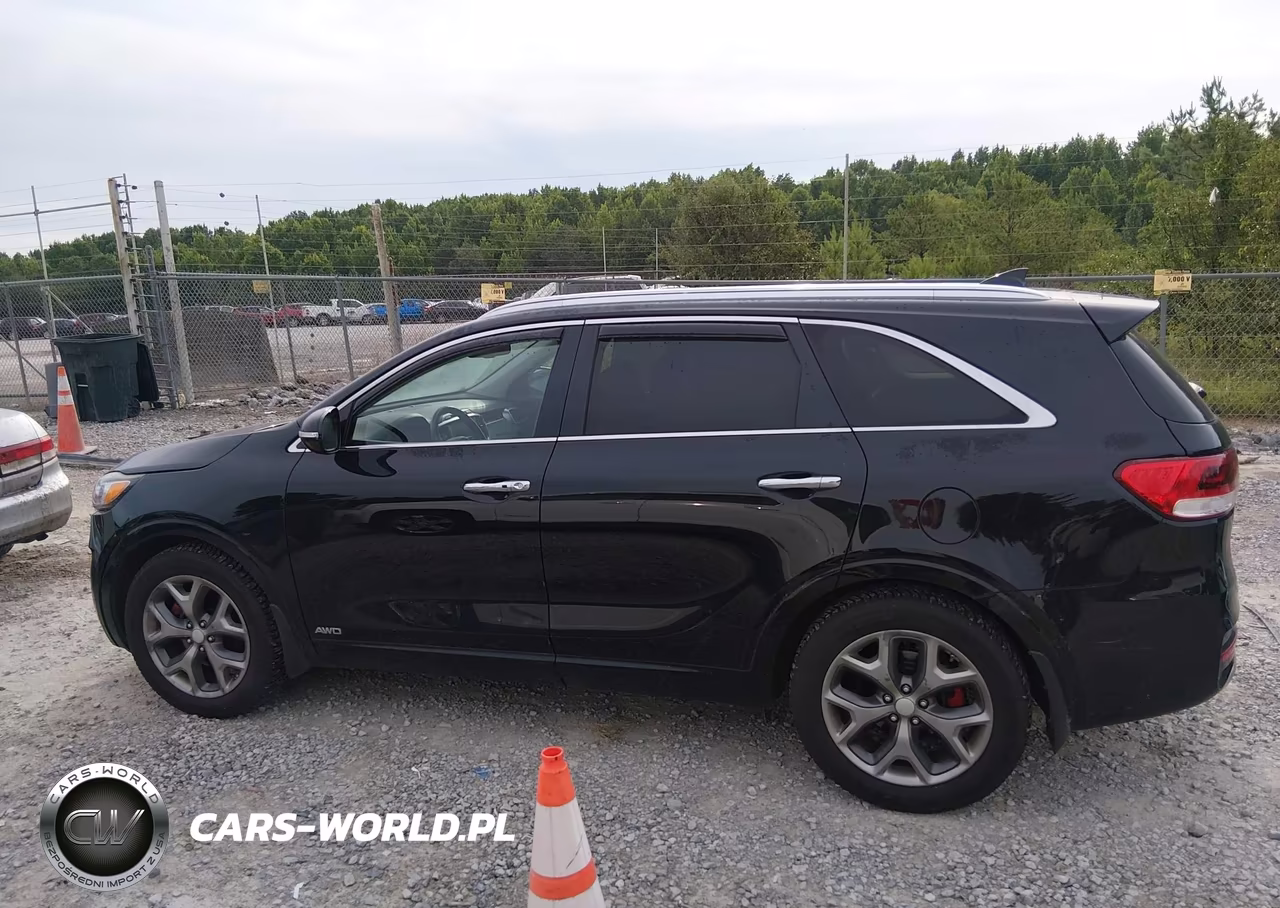 2017 Kia Sorento 3.3L Sx VIN:5XYPKDA58HG239618 - 14