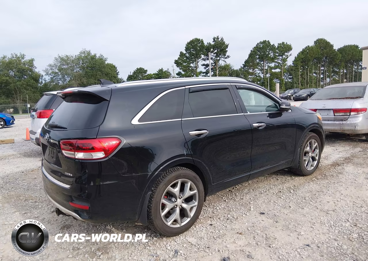 2017 Kia Sorento 3.3L Sx VIN:5XYPKDA58HG239618 - 4