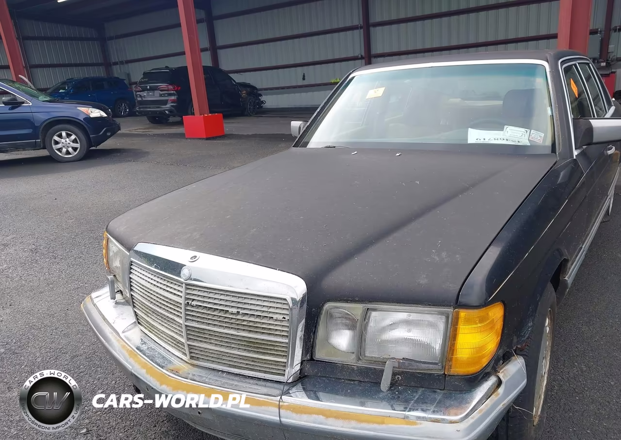 1986 Mercedes-Benz 300 Sdl VIN:WDBCB25D2GA245321 - 10