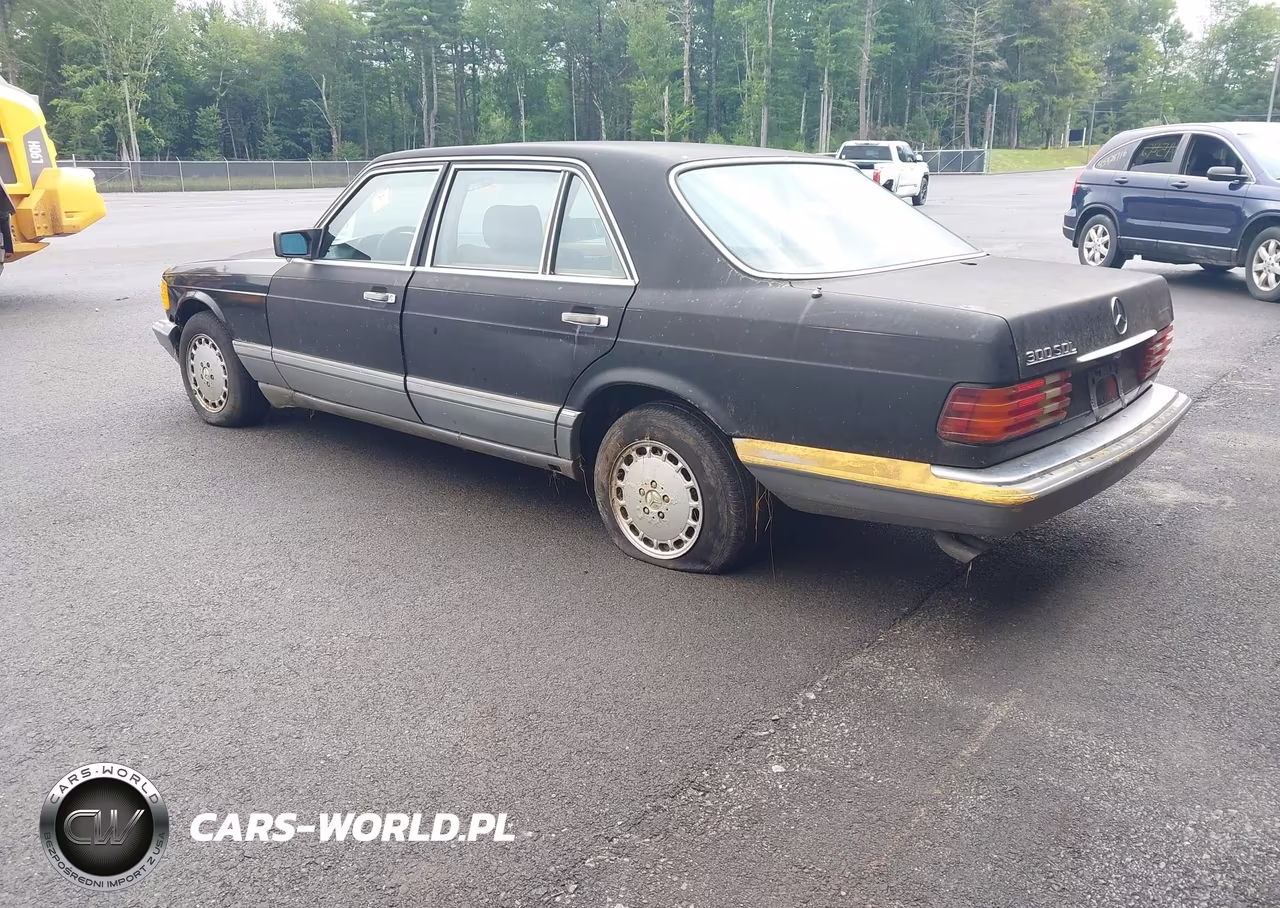 1986 Mercedes-Benz 300 Sdl VIN:WDBCB25D2GA245321 - 3