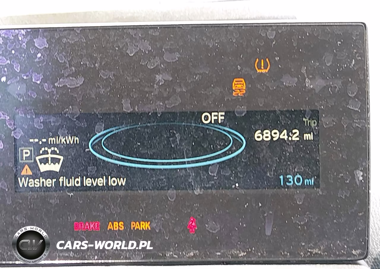 2017 BMW I3 94 Ah VIN:WBY1Z6C53HV548043 - 17