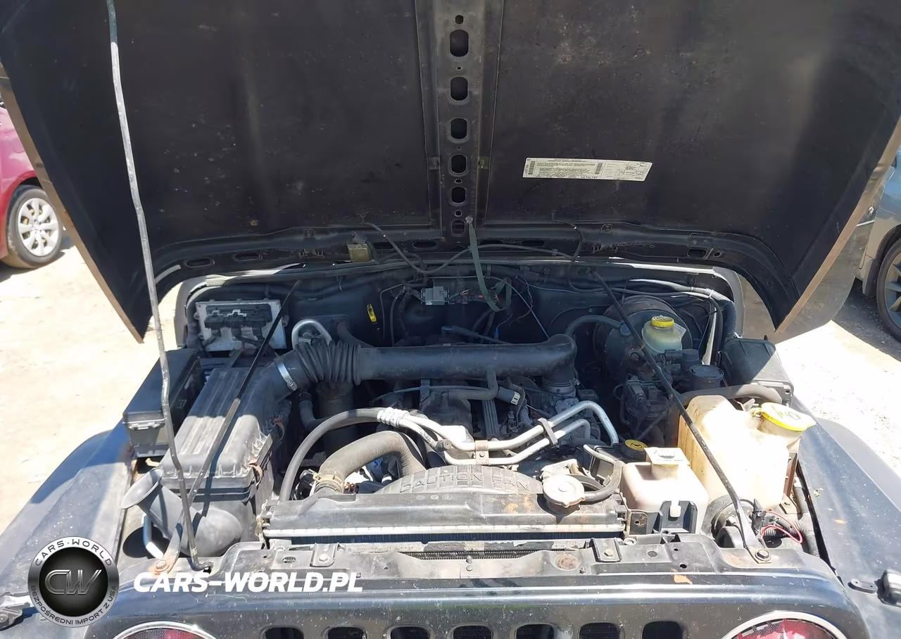 2001 Jeep Wrangler Sport VIN:1J4FA49SX1P321341 - 10