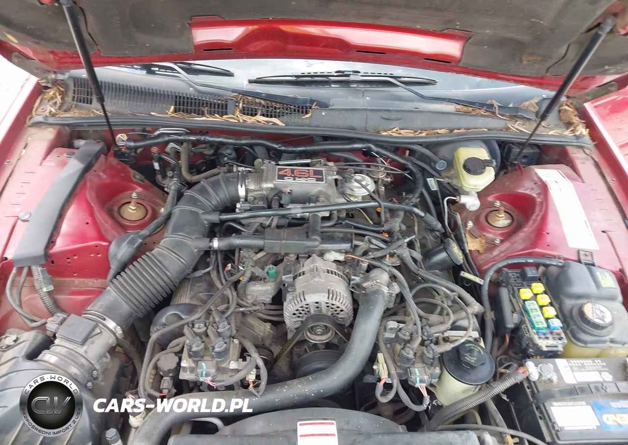 1997 Ford Thunderbird Lx VIN:1FALP62W6VH129842 - 10