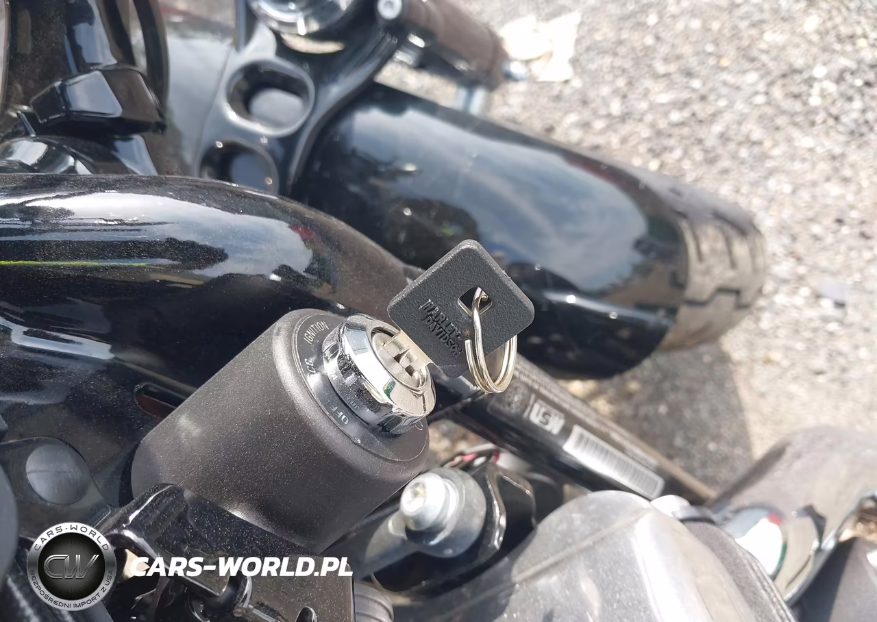 2022 Harley-Davidson Xl1200 X VIN:1HD1LC318NB415885 - 11