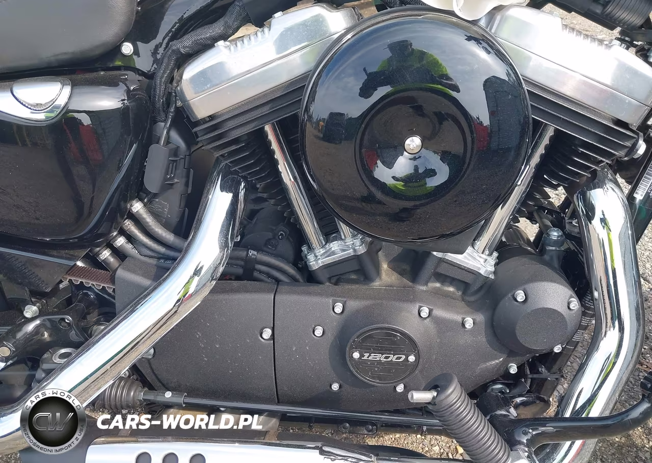 2022 Harley-Davidson Xl1200 X VIN:1HD1LC318NB415885 - 8