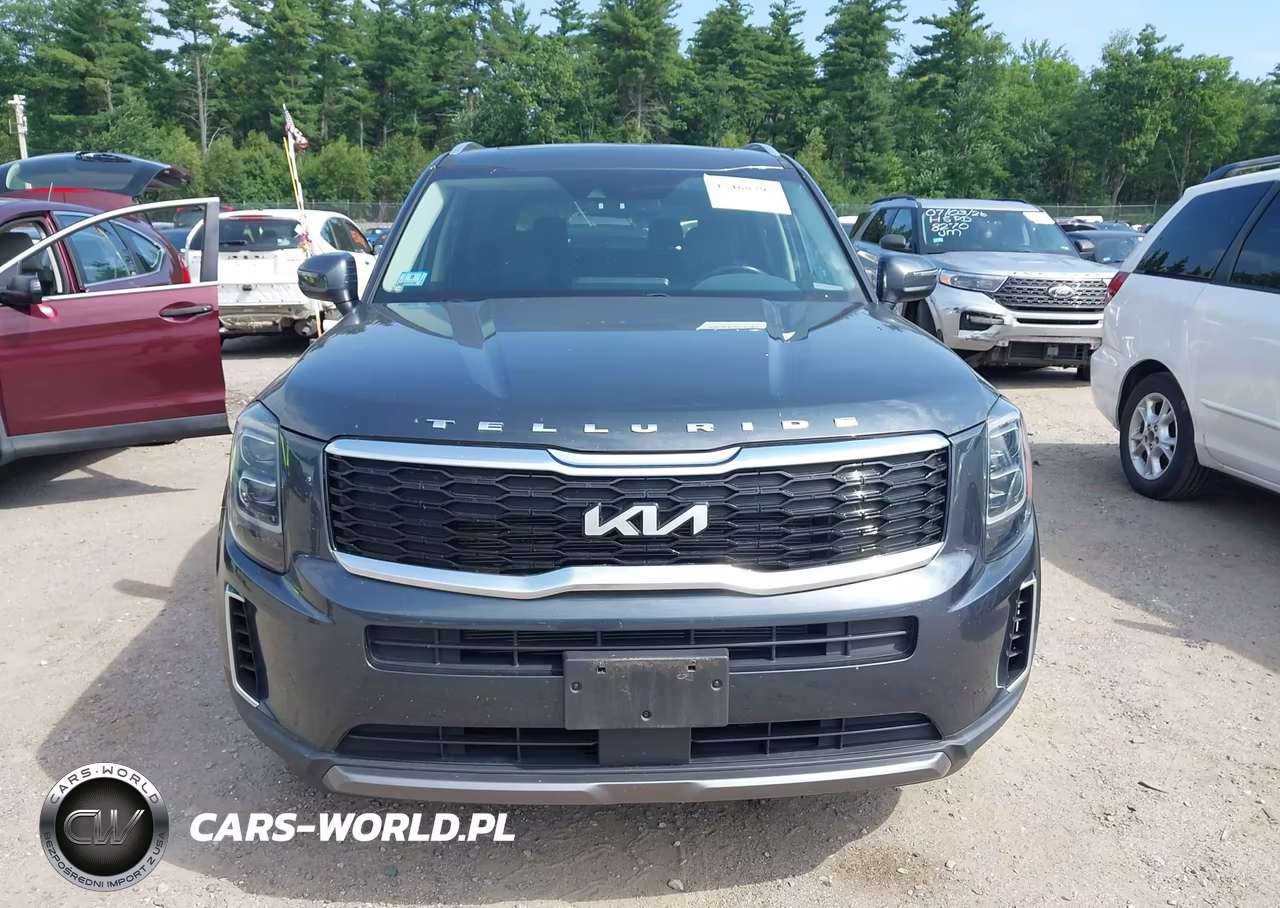 2022 Kia Telluride Ex VIN:5XYP3DHC2NG318179 - 13
