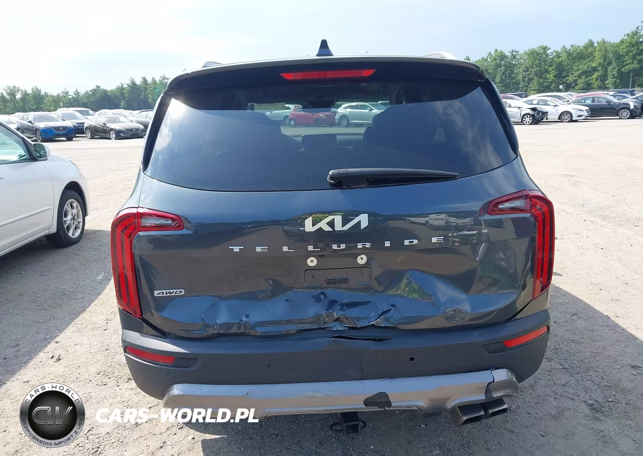 2022 Kia Telluride Ex VIN:5XYP3DHC2NG318179 - 17