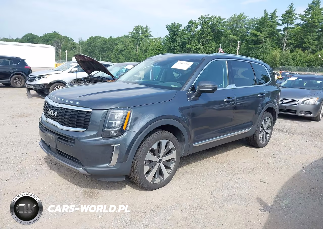 2022 Kia Telluride Ex VIN:5XYP3DHC2NG318179 - 2