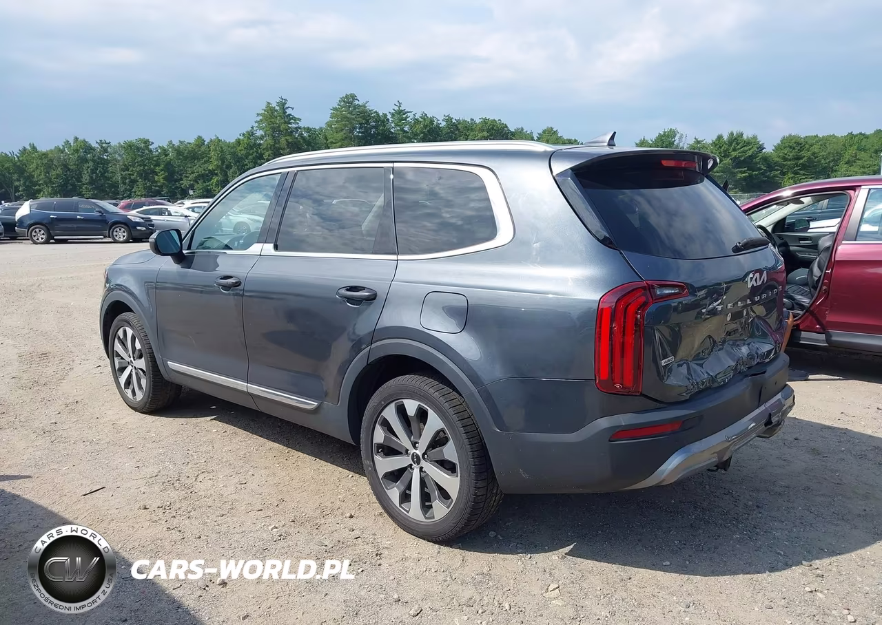 2022 Kia Telluride Ex VIN:5XYP3DHC2NG318179 - 3