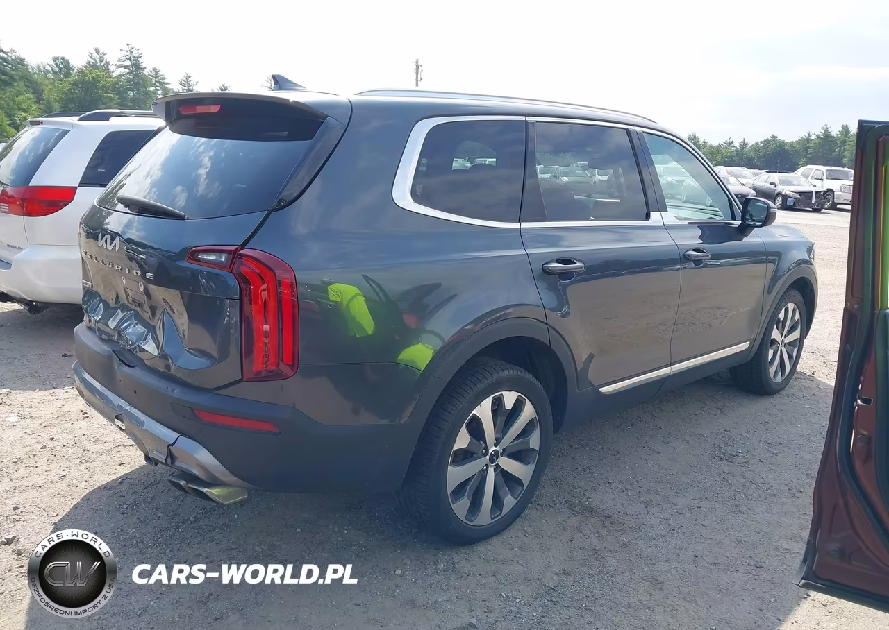 2022 Kia Telluride Ex VIN:5XYP3DHC2NG318179 - 4