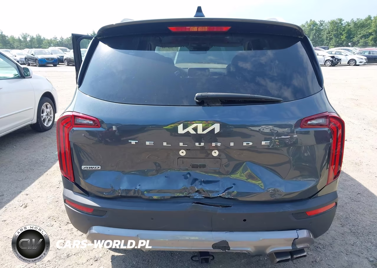 2022 Kia Telluride Ex VIN:5XYP3DHC2NG318179 - 6