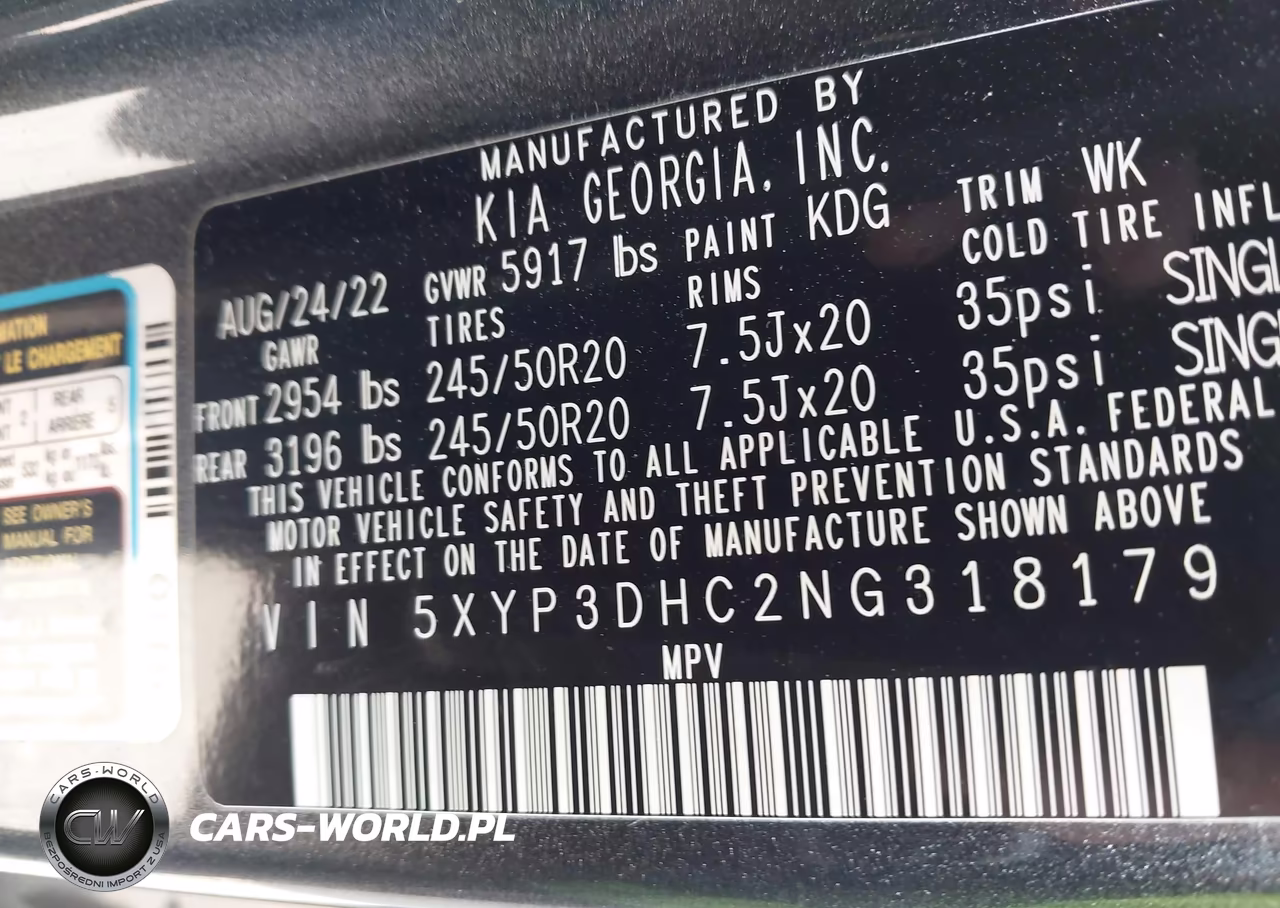 2022 Kia Telluride Ex VIN:5XYP3DHC2NG318179 - 9