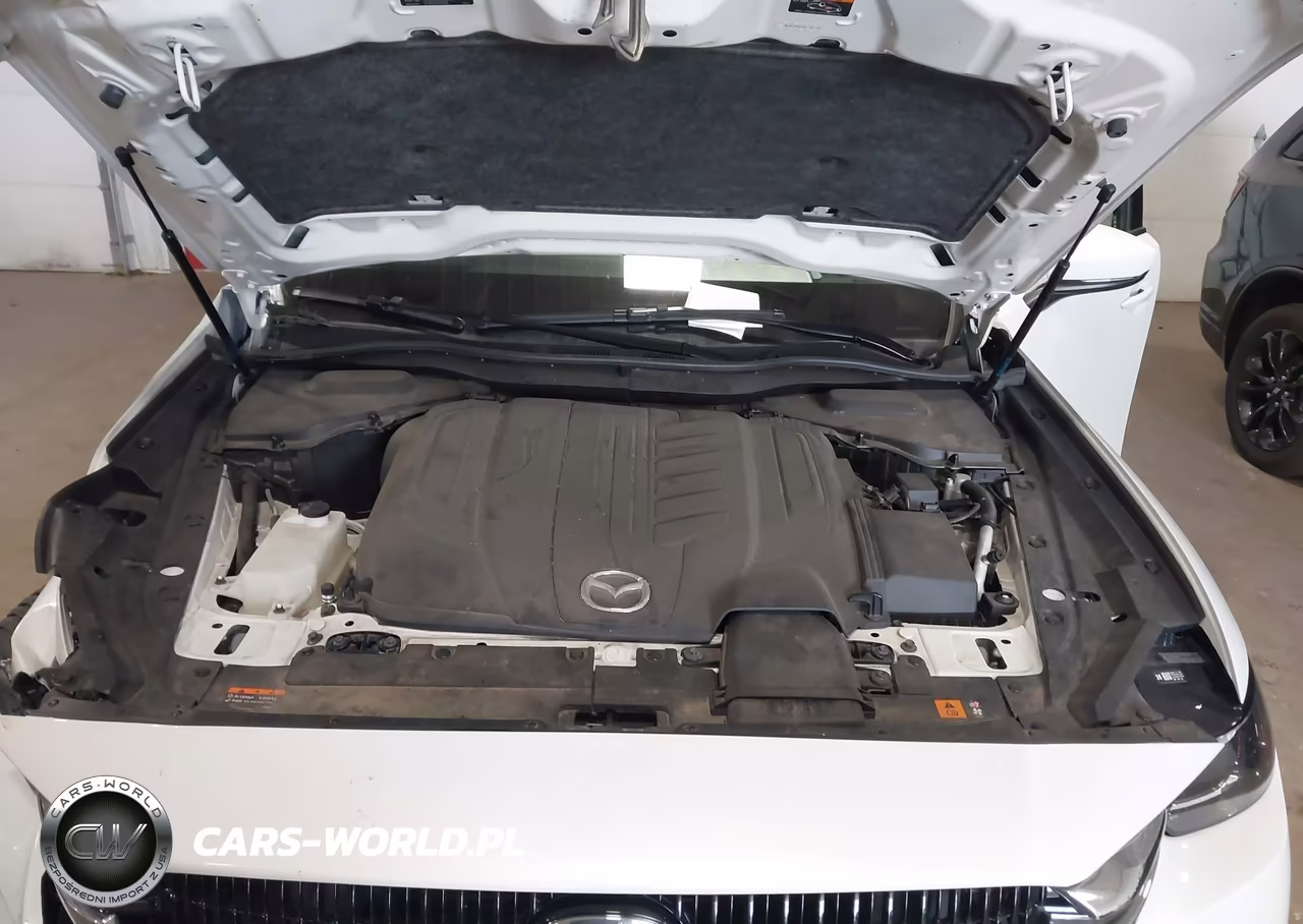 2024 Mazda Cx-90 3.3 Turbo Premium VIN:JM3KKDHD3R1101792 - 10