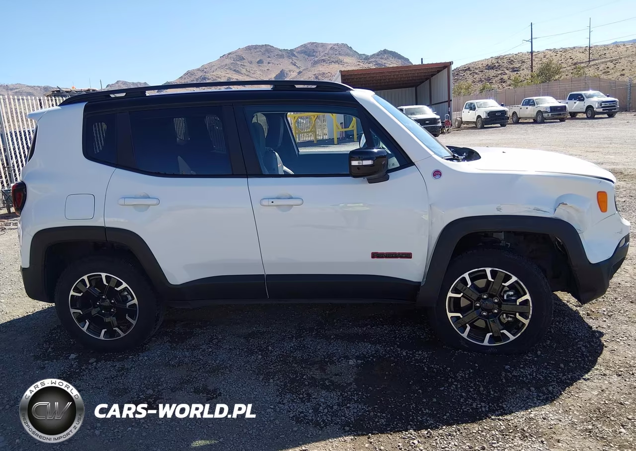 2023 Jeep Renegade Trailhawk 4X4 VIN:ZACNJDC19PPP67040 - 13