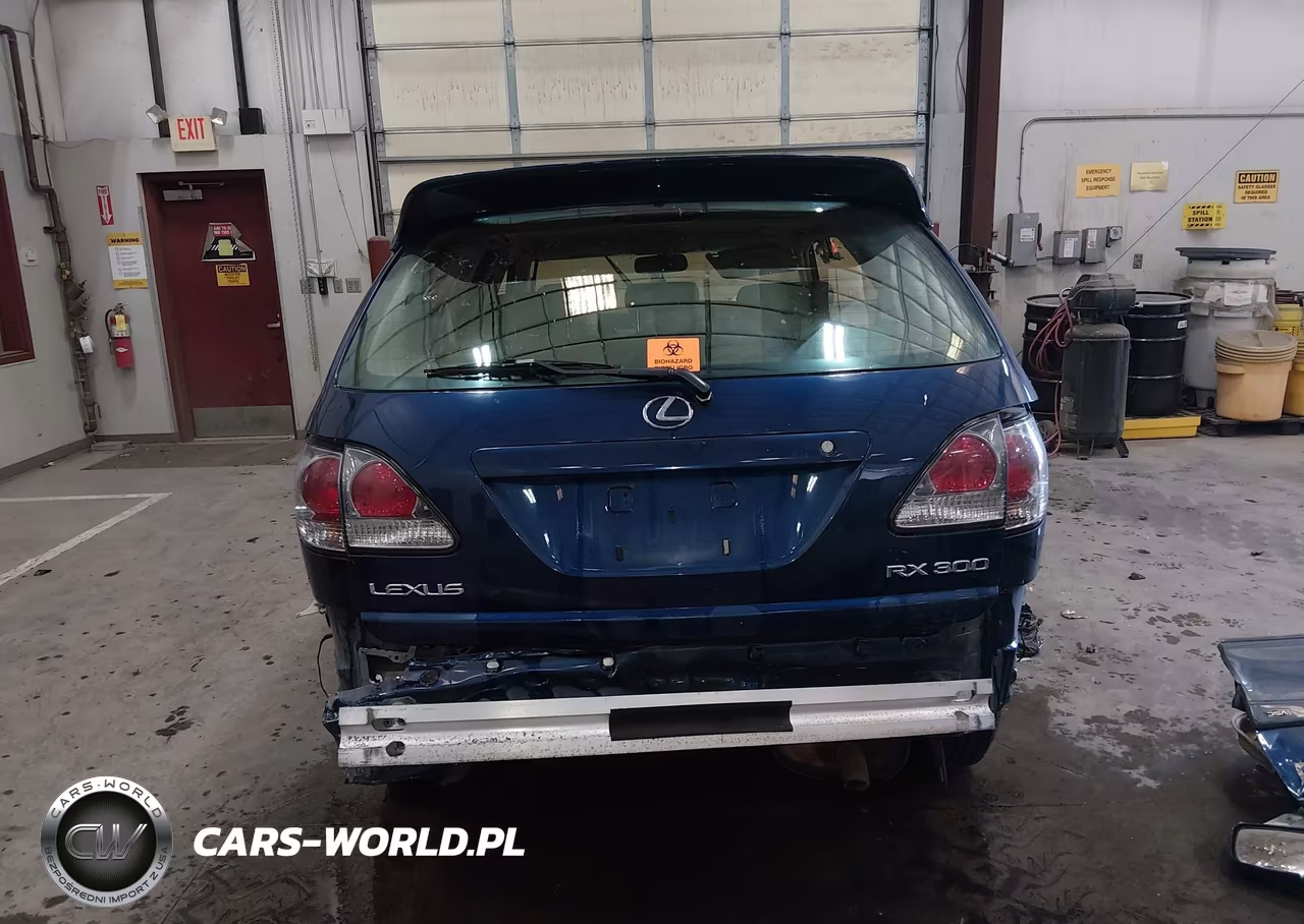 2003 Lexus Rx 300 VIN:JTJHF10U130299901 - 17
