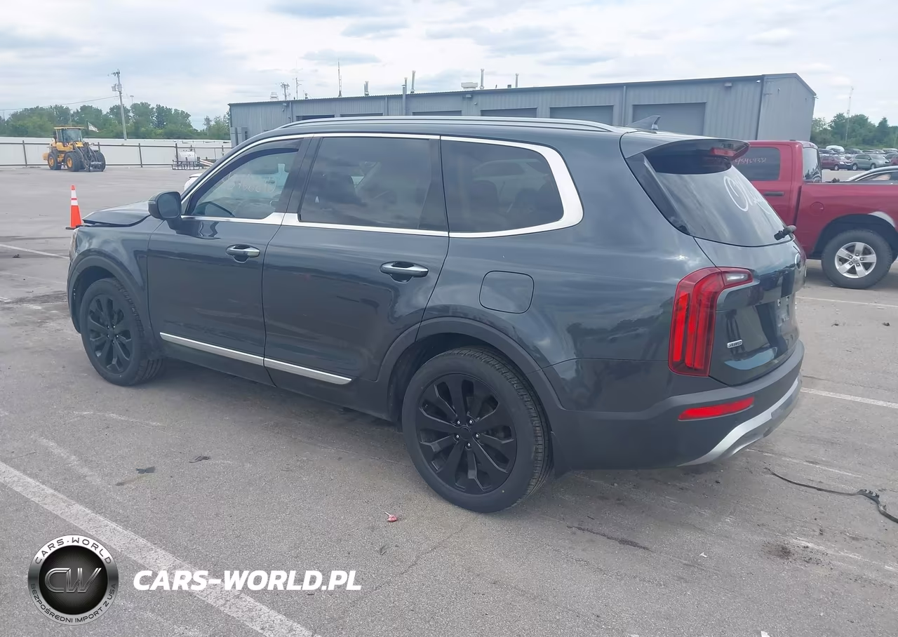 2020 Kia Telluride S VIN:5XYP6DHC1LG042114 - 3