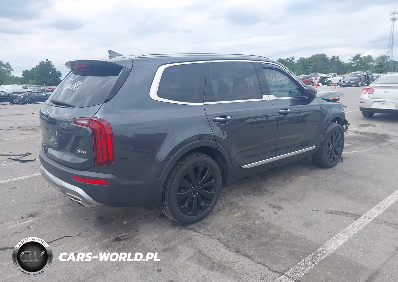 2020 Kia Telluride S VIN:5XYP6DHC1LG042114 - 4