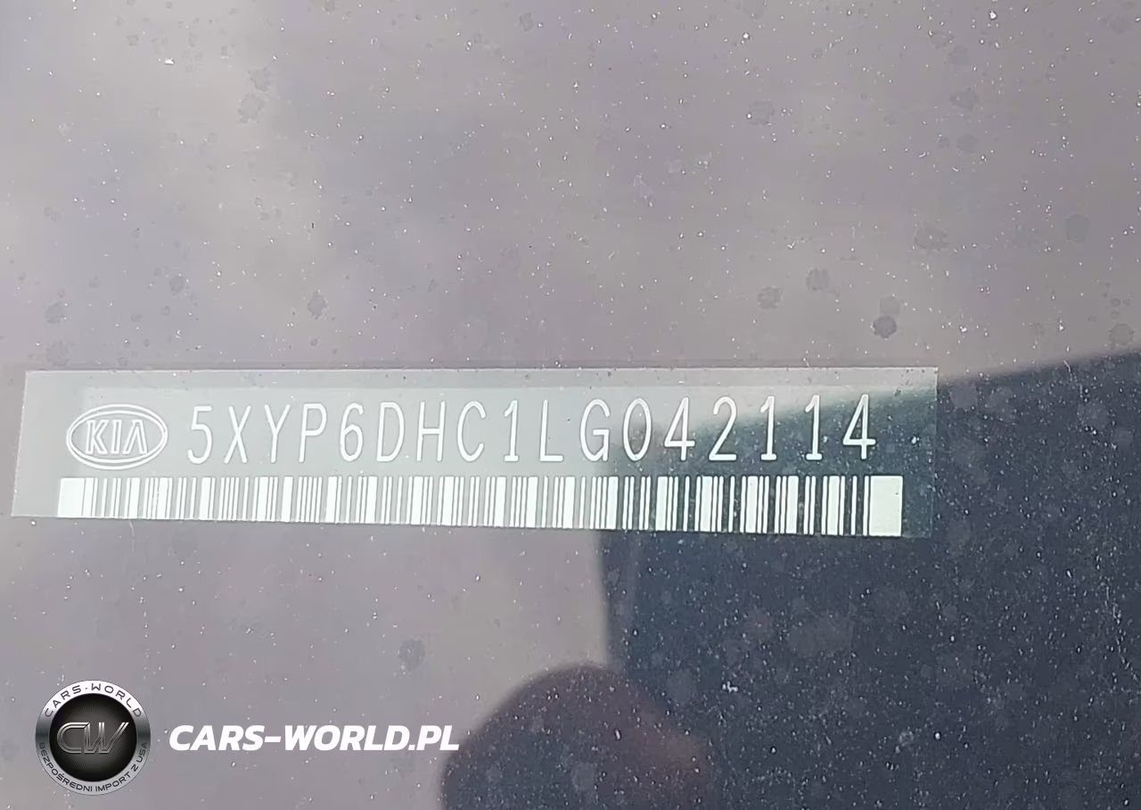 2020 Kia Telluride S VIN:5XYP6DHC1LG042114 - 9