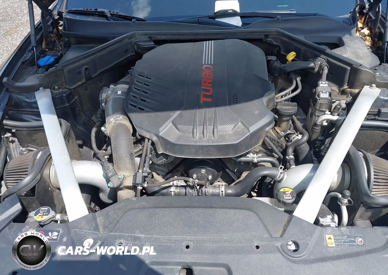 2019 Kia Stinger Gt VIN:KNAE35LC2K6047916 - 10