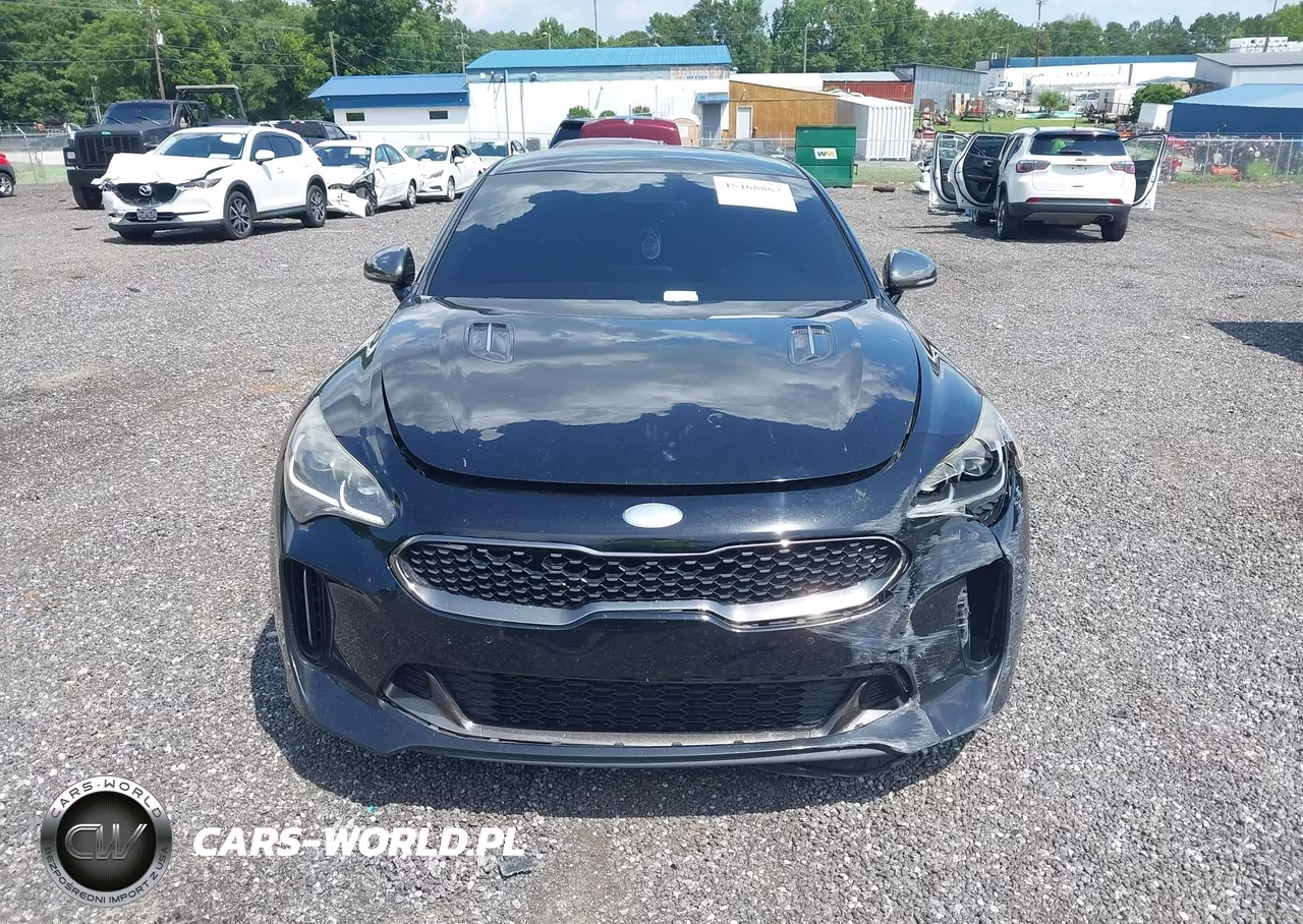 2019 Kia Stinger Gt VIN:KNAE35LC2K6047916 - 12