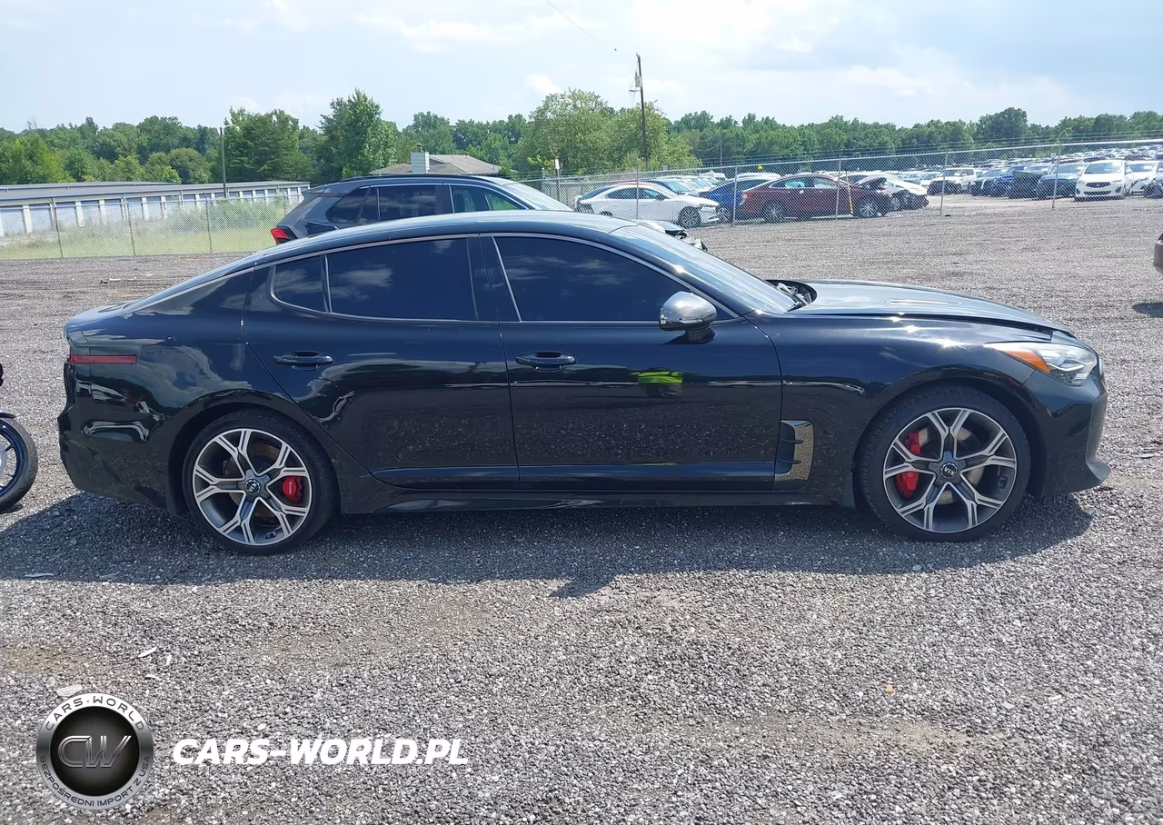 2019 Kia Stinger Gt VIN:KNAE35LC2K6047916 - 13