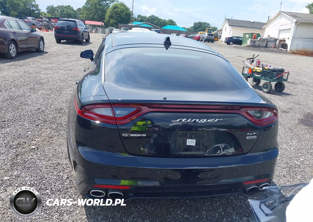 2019 Kia Stinger Gt VIN:KNAE35LC2K6047916 - 16