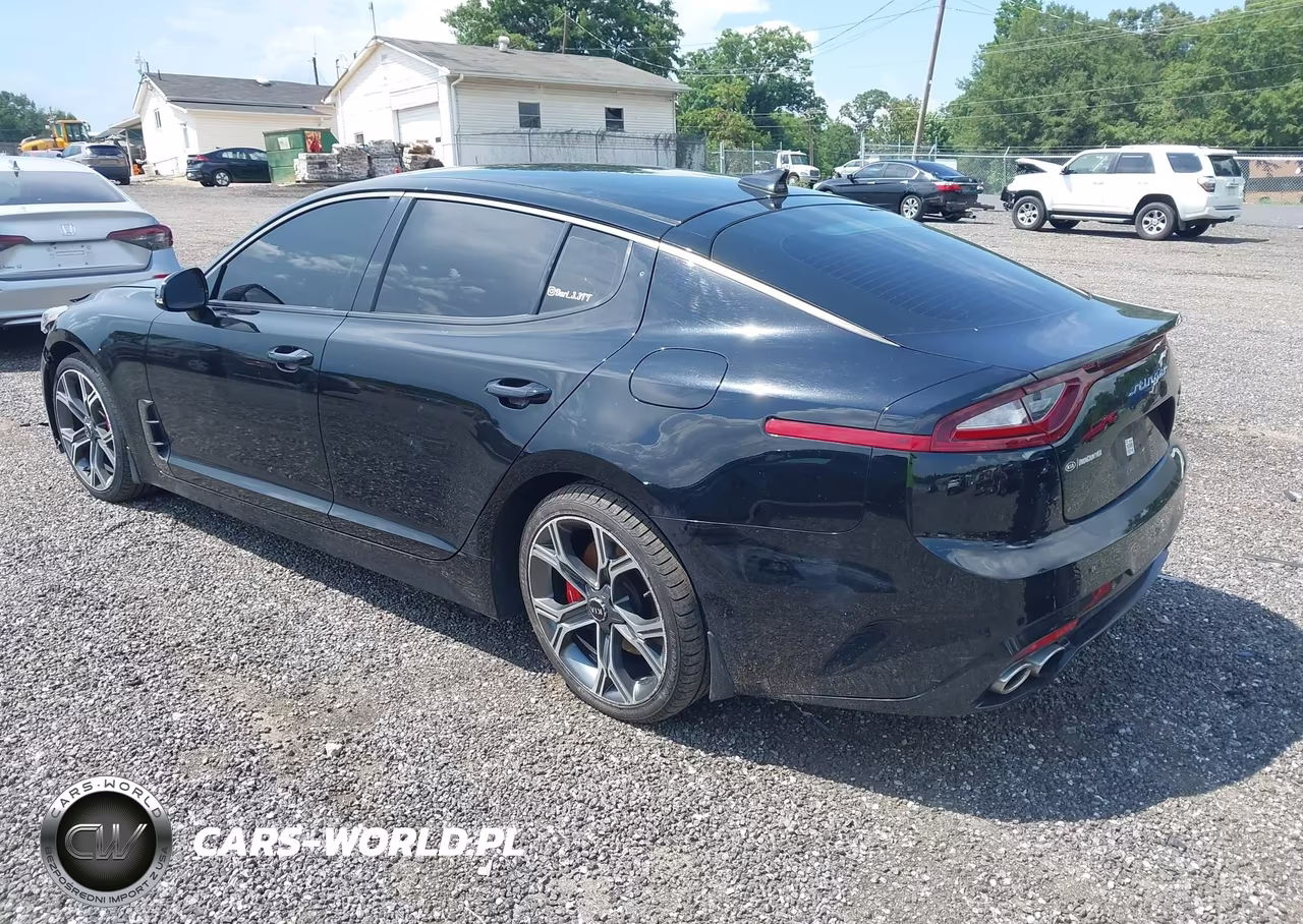 2019 Kia Stinger Gt VIN:KNAE35LC2K6047916 - 3
