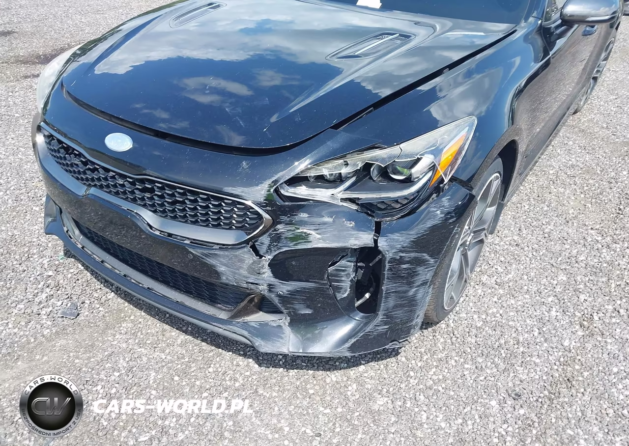 2019 Kia Stinger Gt VIN:KNAE35LC2K6047916 - 6