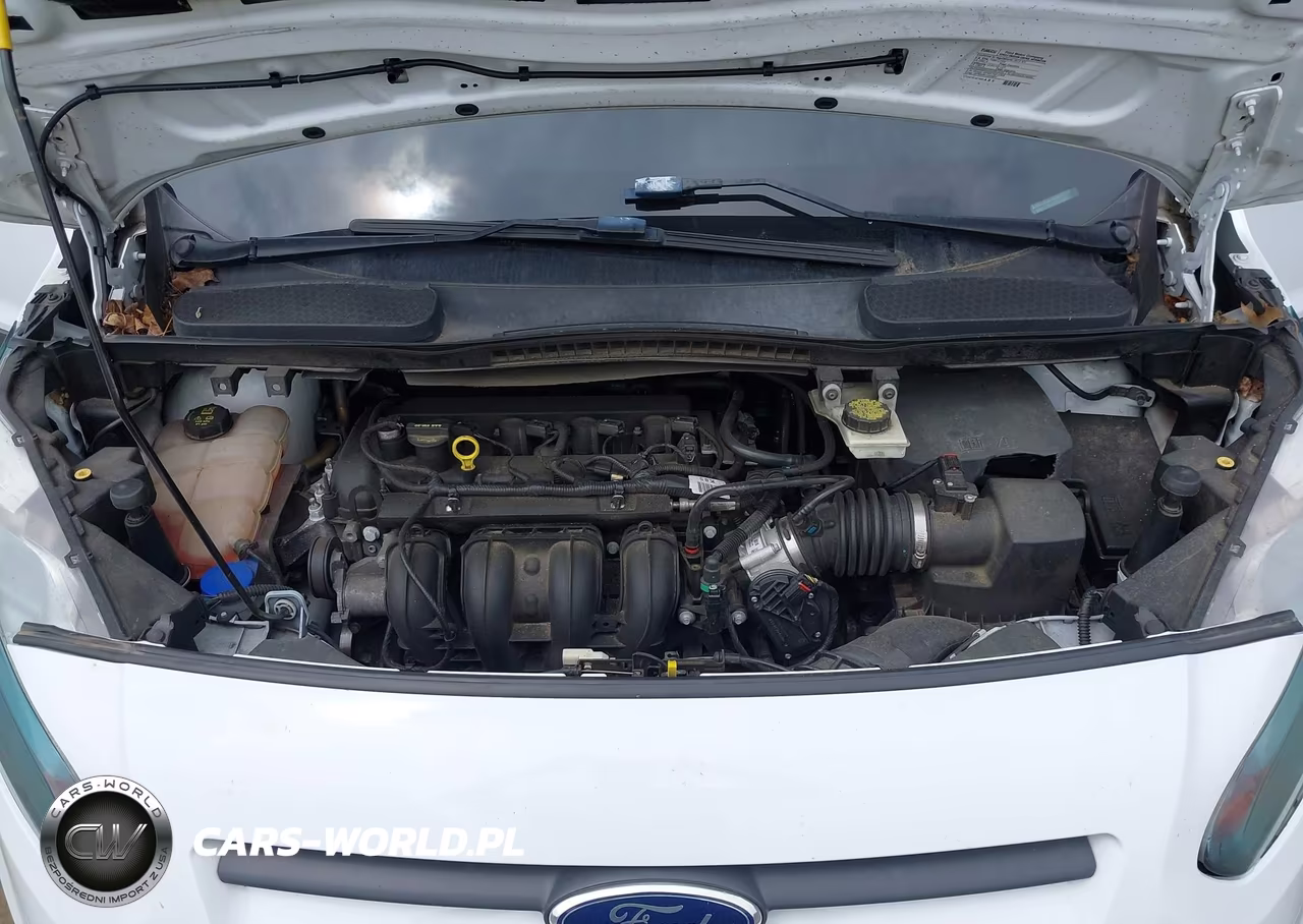 2016 Ford Transit Connect Xlt VIN:NM0LS7F73G1248622 - 10