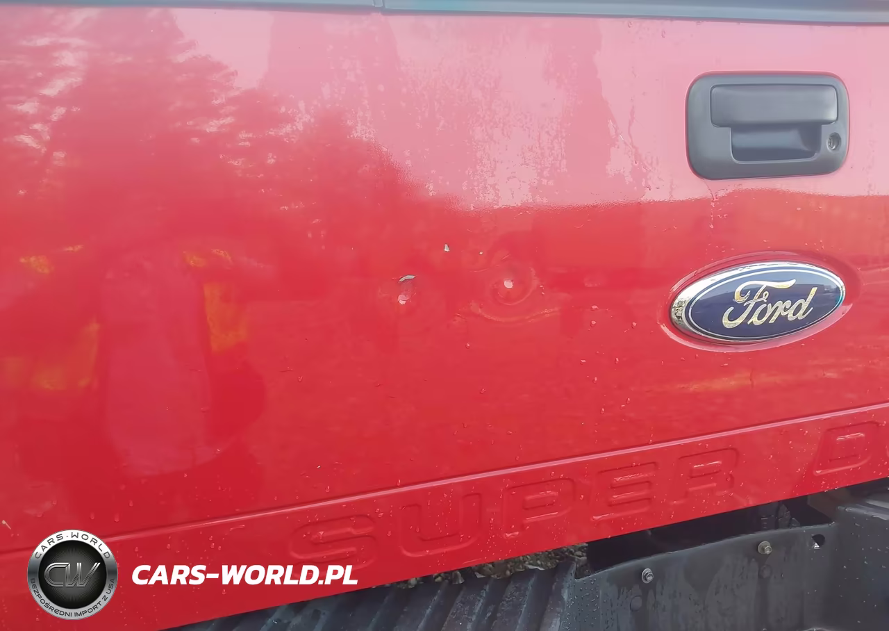 2008 Ford Super Duty F-250 Srw Fx4 VIN:1FTSW21R08EB98559 - 6
