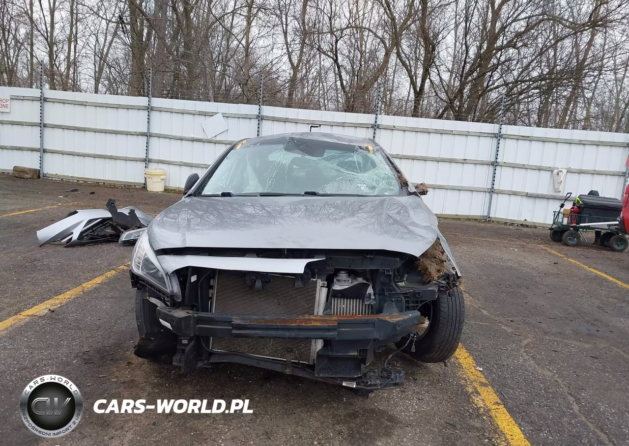 2016 Hyundai Sonata Eco VIN:5NPE24AA9GH335124 - 13