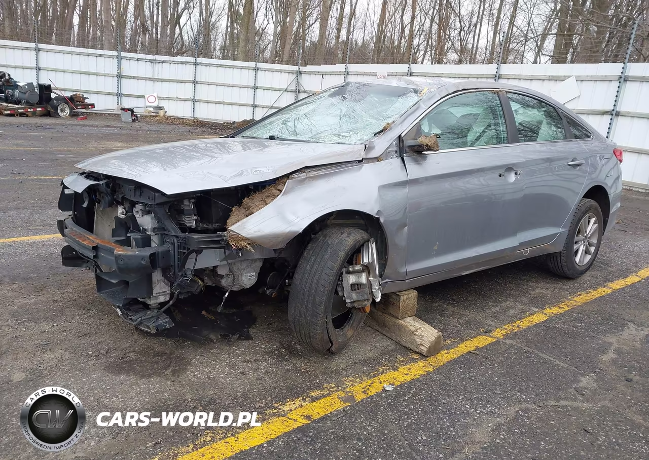 2016 Hyundai Sonata Eco VIN:5NPE24AA9GH335124 - 2