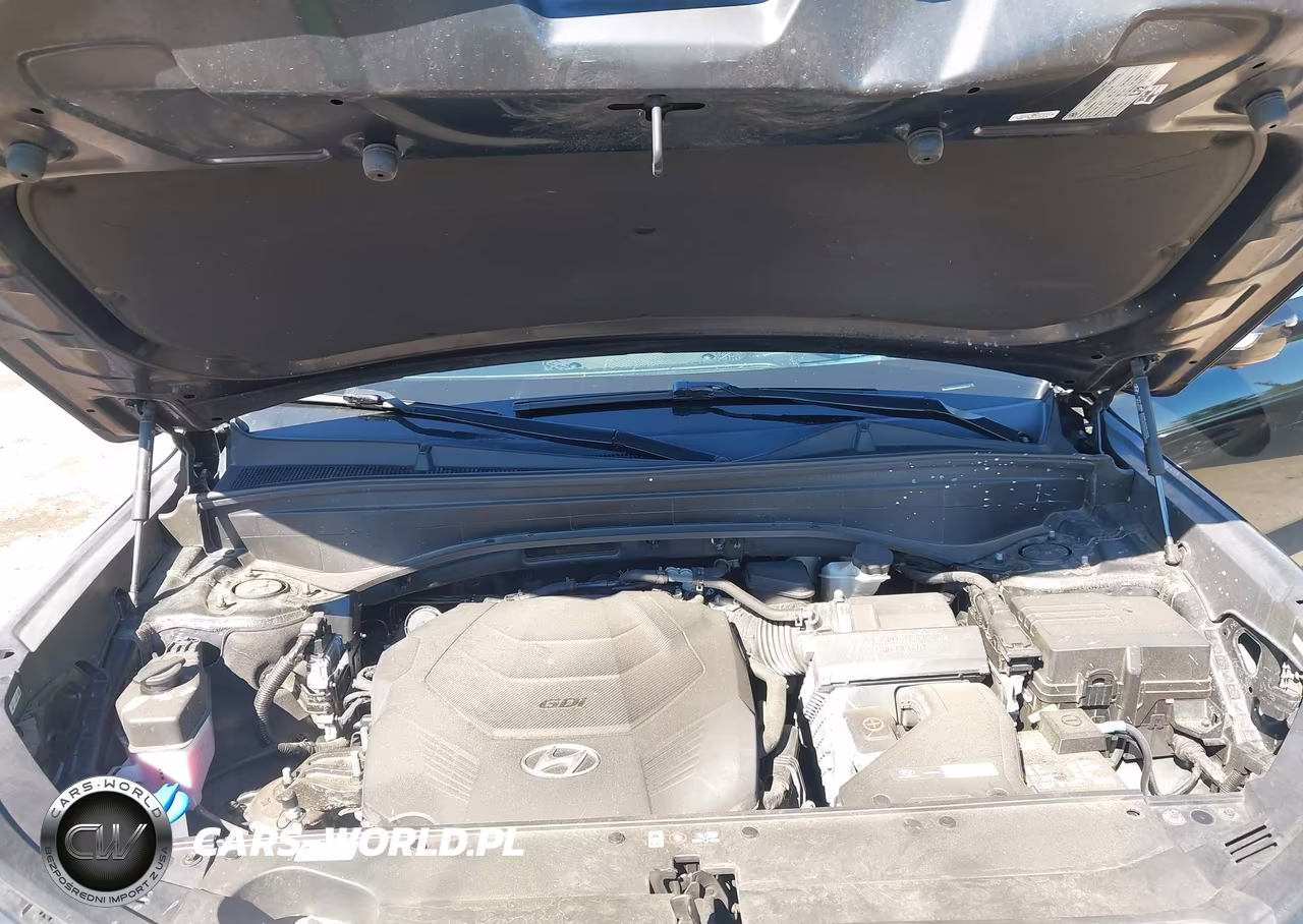 2023 Hyundai Palisade Calligraphy VIN:KM8R7DGE9PU508851 - 10