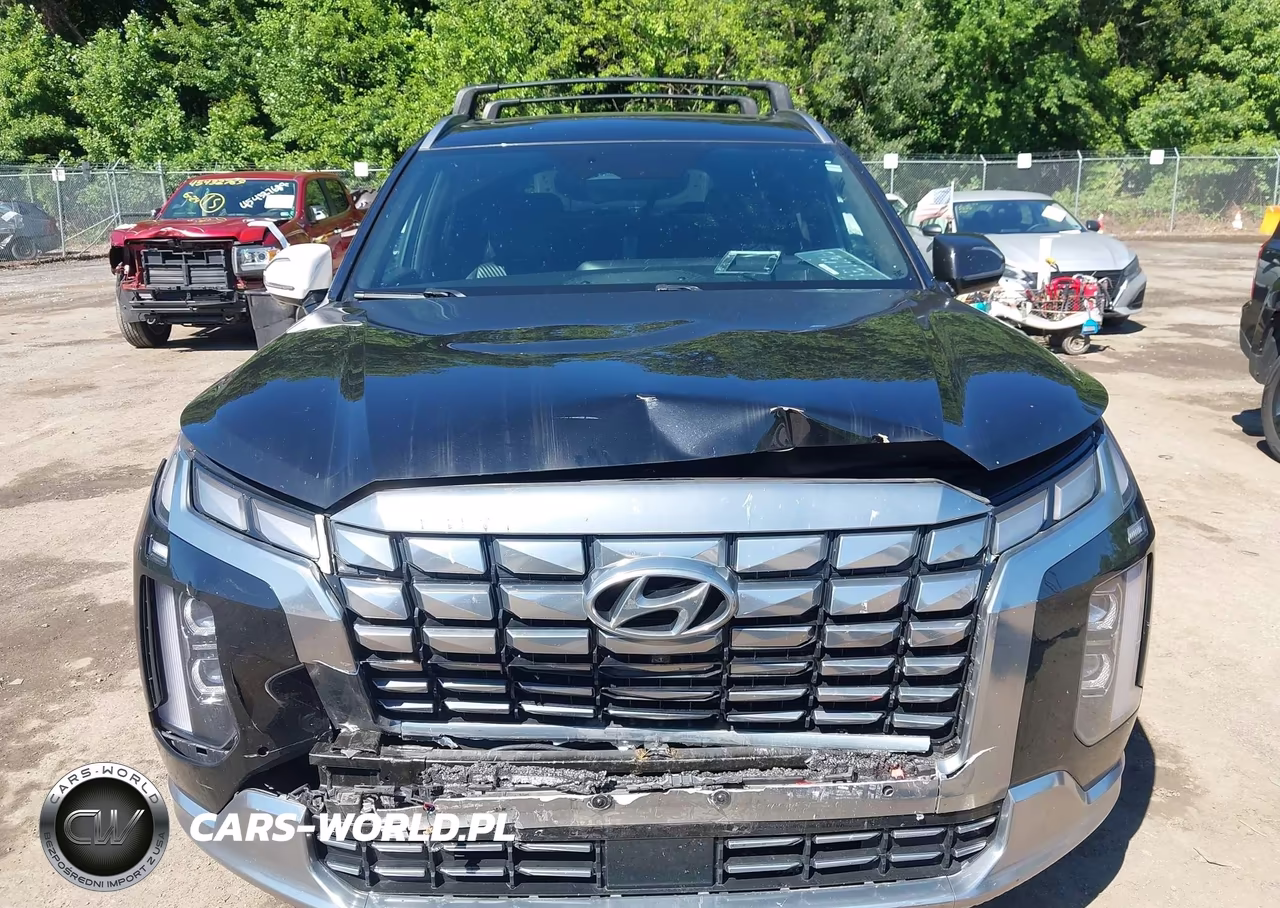 2023 Hyundai Palisade Calligraphy VIN:KM8R7DGE9PU508851 - 12