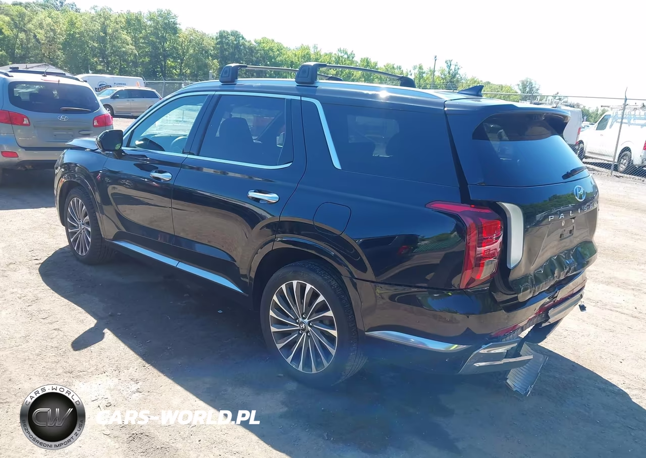 2023 Hyundai Palisade Calligraphy VIN:KM8R7DGE9PU508851 - 3