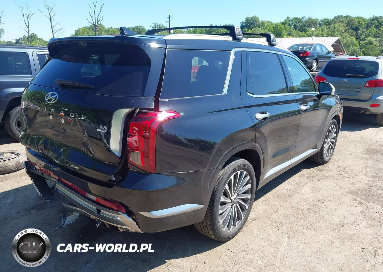 2023 Hyundai Palisade Calligraphy VIN:KM8R7DGE9PU508851 - 4
