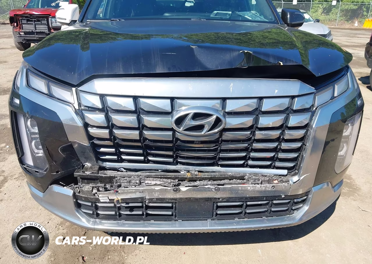 2023 Hyundai Palisade Calligraphy VIN:KM8R7DGE9PU508851 - 6