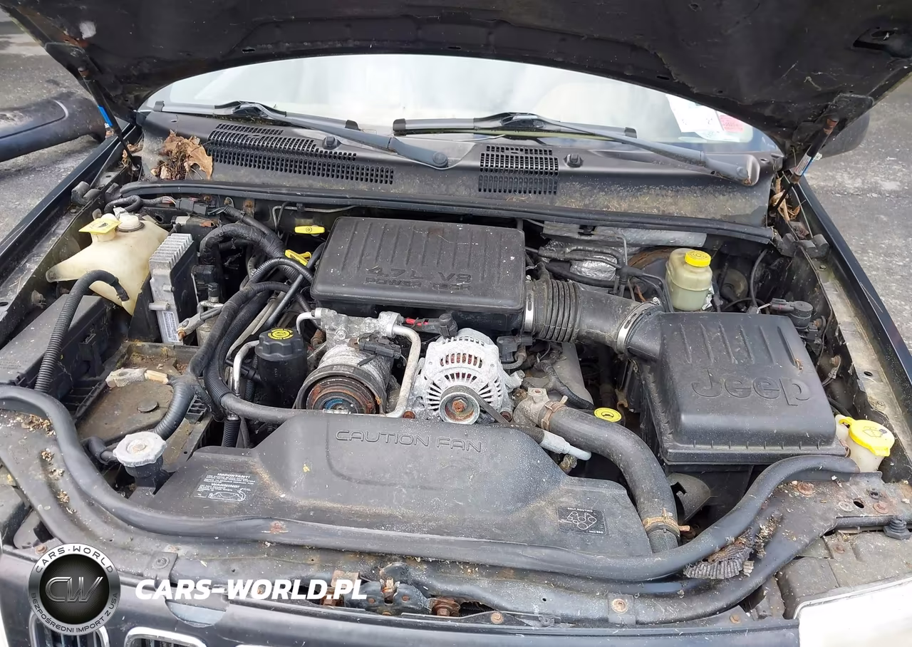 2001 Jeep Grand Cherokee VIN:1J4GW58N92C313019 - 10