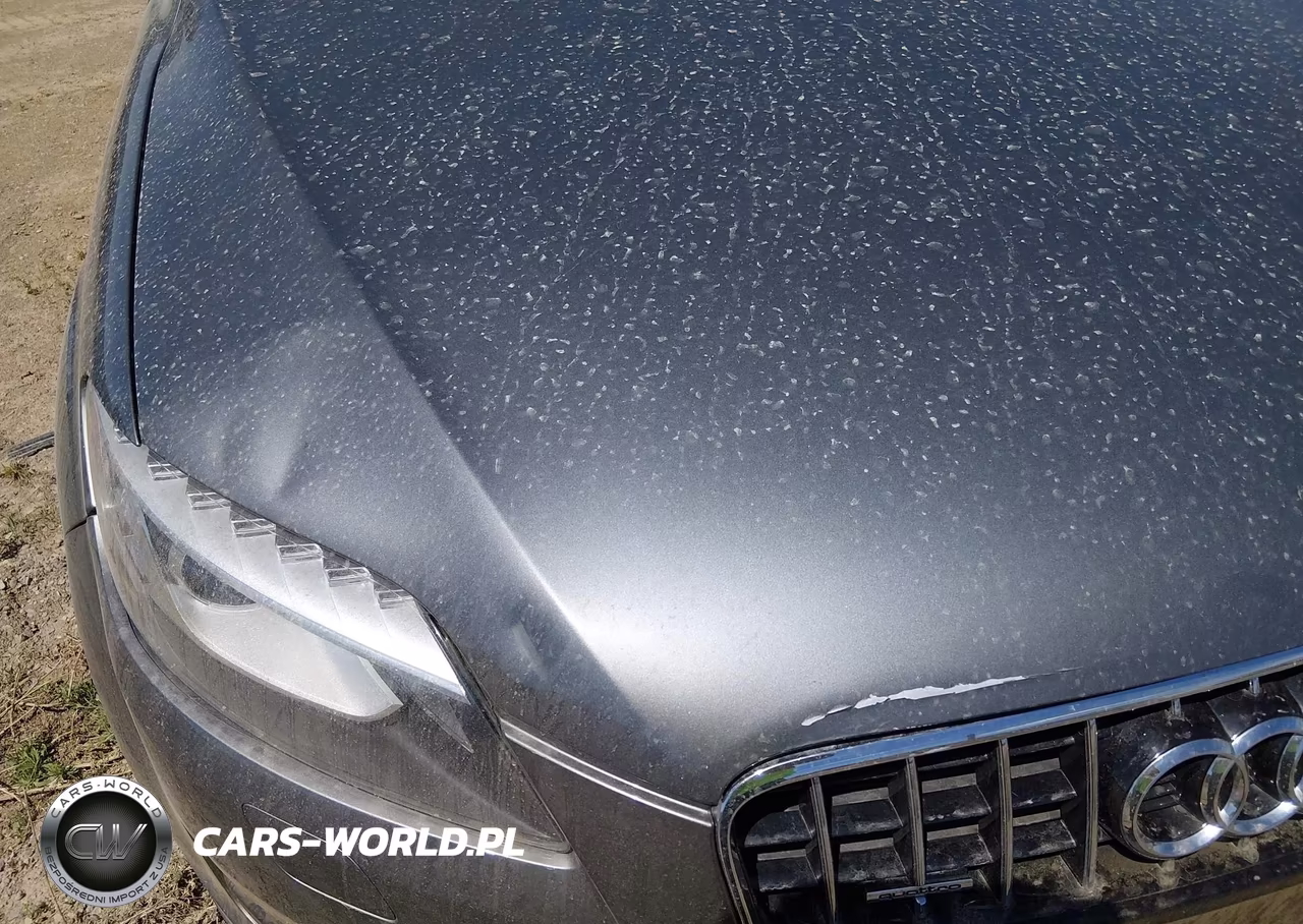 AUDI Q7 VIN:WA1LMAFE7ED018628 - 19