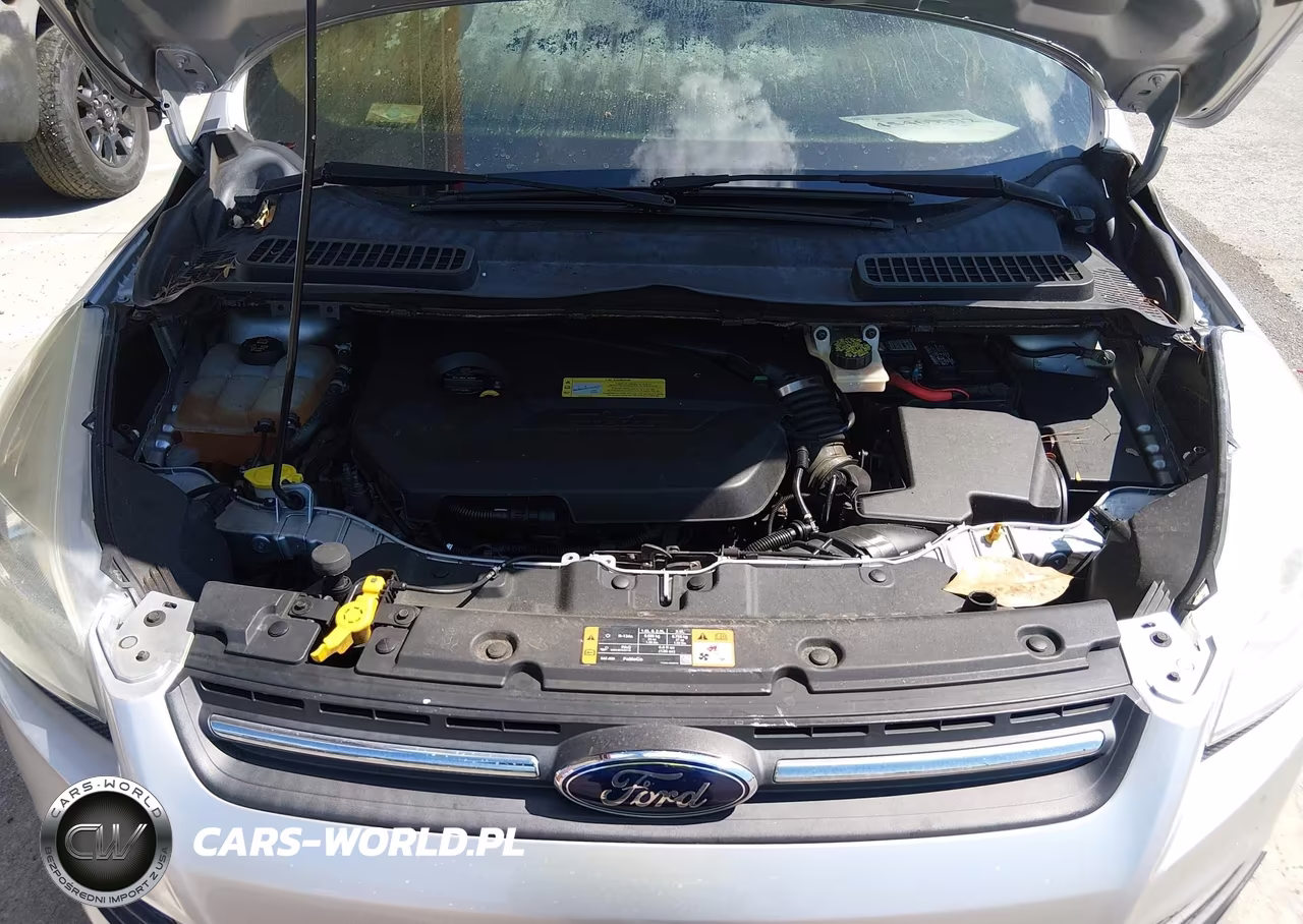 2014 Ford Escape Se VIN:1FMCU0GX9EUB69451 - 10