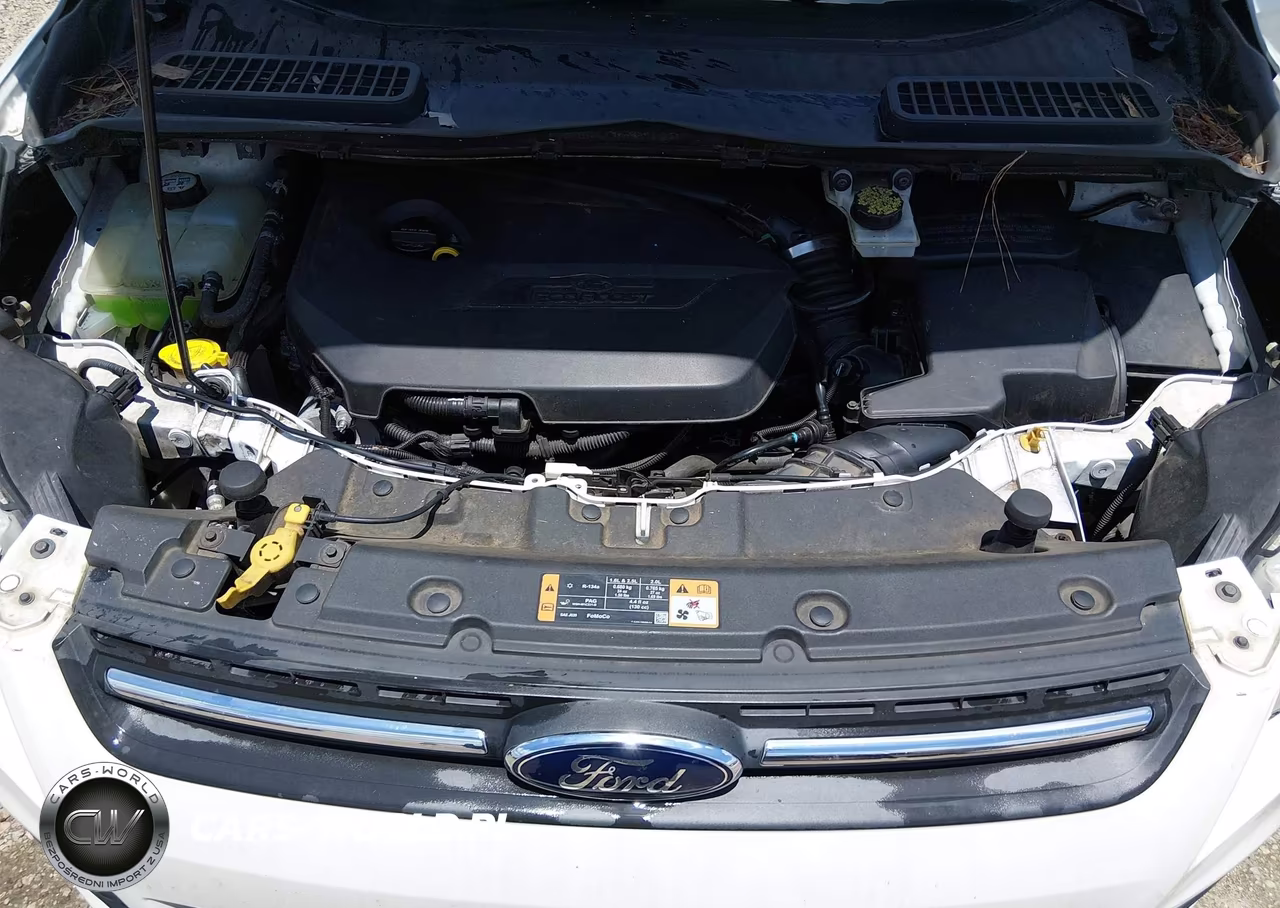 2014 Ford Escape Se VIN:1FMCU0GX1EUB55110 - 10