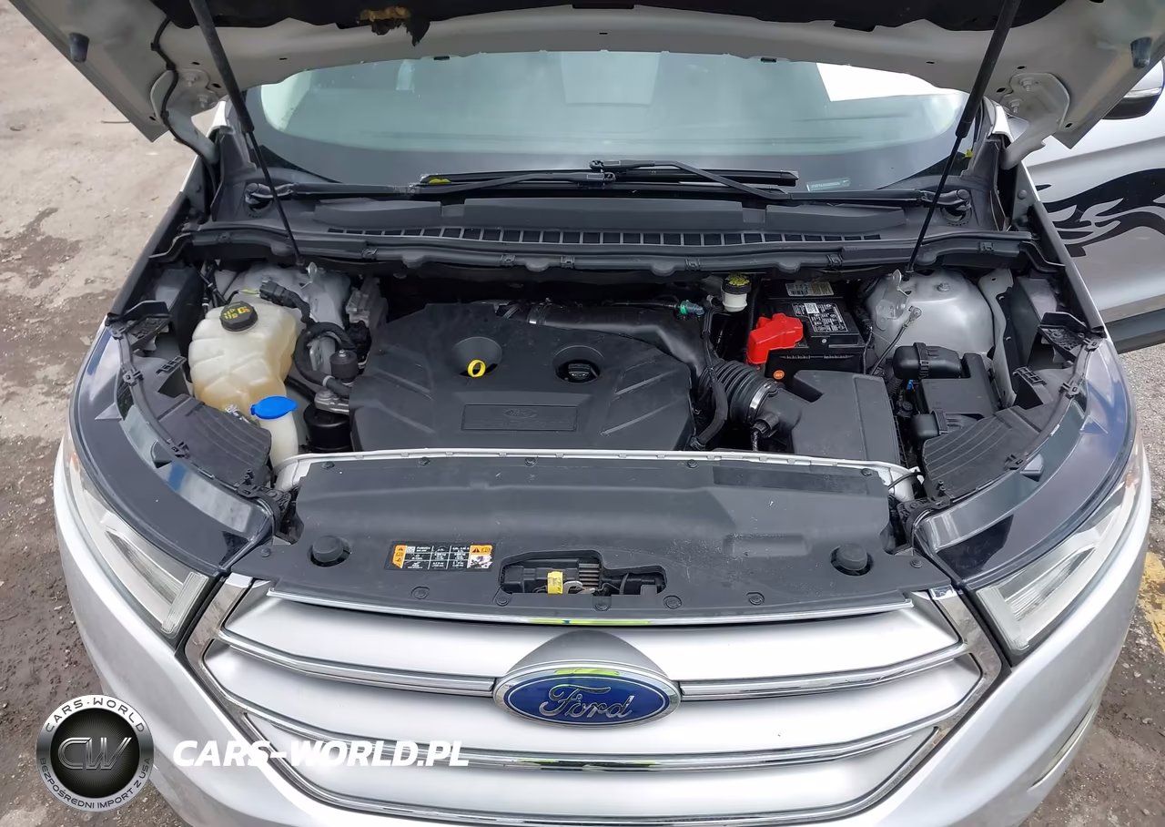 2016 Ford Edge Sel VIN:2FMPK4J93GBB86666 - 10